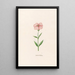 Petite rose de Marie - Magdalena Rosina Funck — framed artwork on a wall