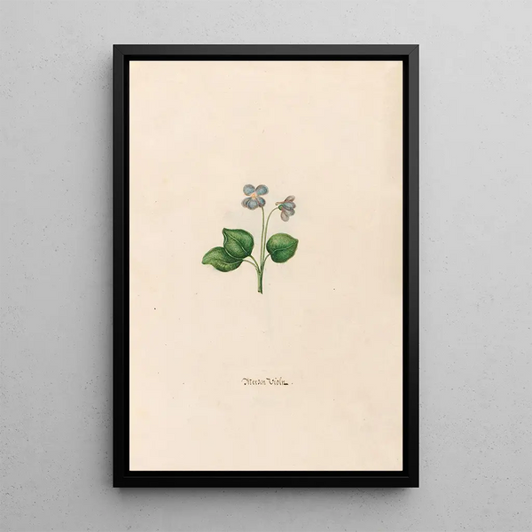 Violets of March - Magdalena Rosina Funck — framed artwork on a wall