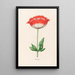 Poppy - Magdalena Rosina Funck — framed artwork on a wall