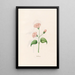 Nicotiana - Magdalena Rosina Funck — framed artwork on a wall