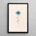 Nigelle - Magdalena Rosina Funck — framed artwork on a wall