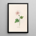 Oriental Clock Painting - Magdalena Rosina Funck — framed artwork on a wall