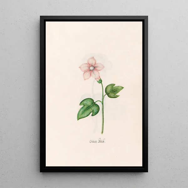 Oriental Clock Painting - Magdalena Rosina Funck — framed artwork on a wall