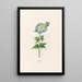 Poplar Painting - Magdalena Rosina Funck — framed artwork on a wall