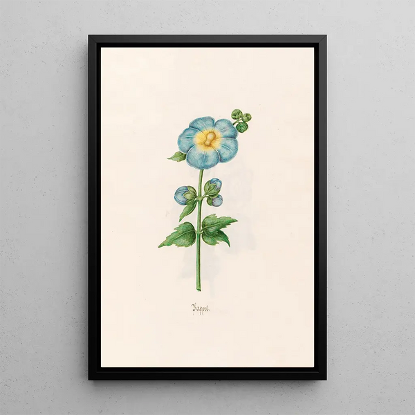 Poplar Painting - Magdalena Rosina Funck — framed artwork on a wall