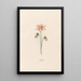 Gypsophile - Magdalena Rosina Funck — framed artwork on a wall