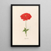 Water Lilies - Magdalena Rosina Funck — framed artwork on a wall