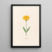 Souci - Magdalena Rosina Funck — framed artwork on a wall