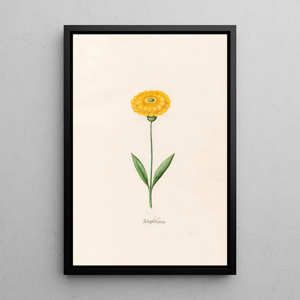 Souci - Magdalena Rosina Funck — framed artwork on a wall