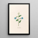 Roman binding painting - Magdalena Rosina Funck — framed artwork on a wall