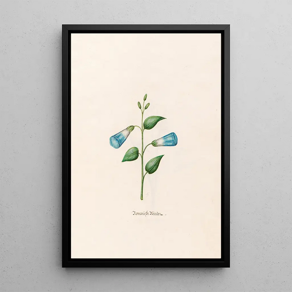 Roman binding painting - Magdalena Rosina Funck — framed artwork on a wall