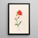 Red Lily - Magdalena Rosina Funck — framed artwork on a wall