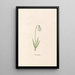 Snowflakes Painting - Magdalena Rosina Funck — framed artwork on a wall