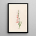 Schwendel - Magdalena Rosina Funck — framed artwork on a wall