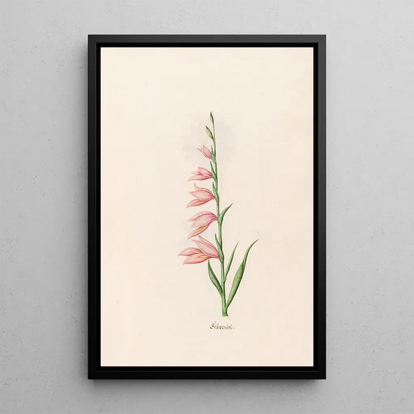 Schwendel - Magdalena Rosina Funck — framed artwork on a wall