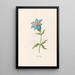 Spanish clock - Magdalena Rosina Funck — framed artwork on a wall