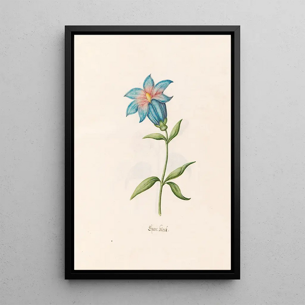 Spanish clock - Magdalena Rosina Funck — framed artwork on a wall