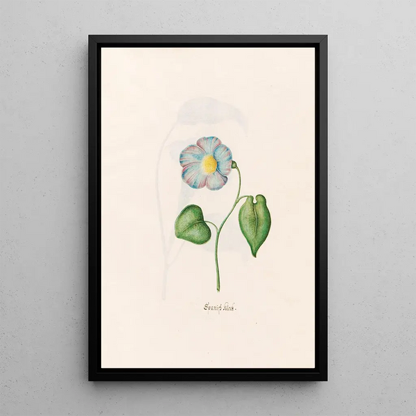 Spanish Clock Painting - Magdalena Rosina Funck — framed artwork on a wall
