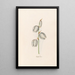 Fuchsia espagnol - Magdalena Rosina Funck — framed artwork on a wall