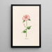 Poplar Painting - Magdalena Rosina Funck — framed artwork on a wall