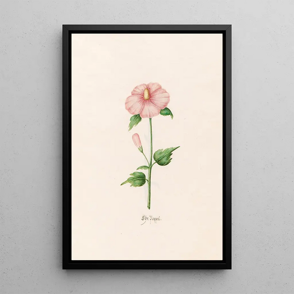 Poplar Painting - Magdalena Rosina Funck — framed artwork on a wall
