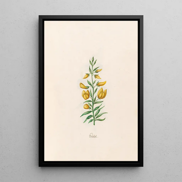 Techel - Magdalena Rosina Funck — framed artwork on a wall