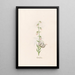 Turkish Band Painting - Magdalena Rosina Funck — framed artwork on a wall