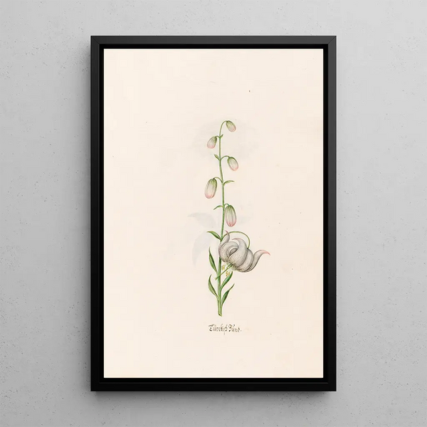 Turkish Band Painting - Magdalena Rosina Funck — framed artwork on a wall