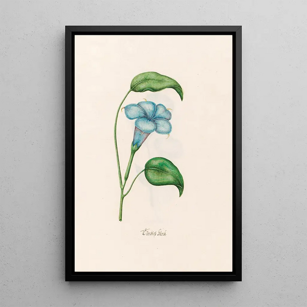Turkish Clock Painting - Magdalena Rosina Funck — framed artwork on a wall