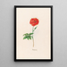 Turkish Rose Painting - Magdalena Rosina Funck — framed artwork on a wall