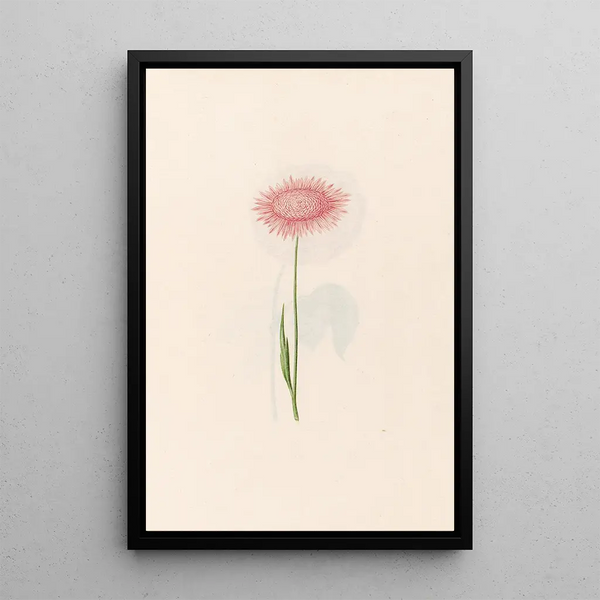 Untitled Painting - Magdalena Rosina Funck — framed artwork on a wall