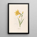 Nénuphar - Magdalena Rosina Funck — framed artwork on a wall
