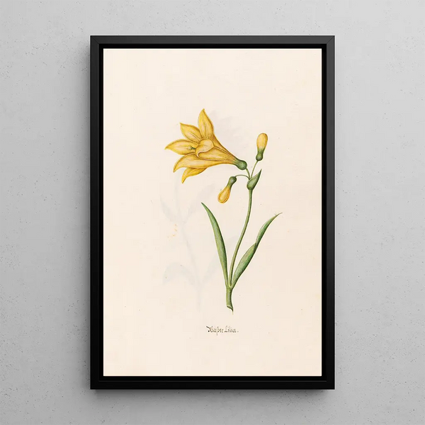 Nénuphar - Magdalena Rosina Funck — framed artwork on a wall