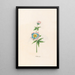 Wind Rose Painting - Magdalena Rosina Funck — framed artwork on a wall