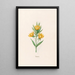 Wiedrich - Magdalena Rosina Funck — framed artwork on a wall