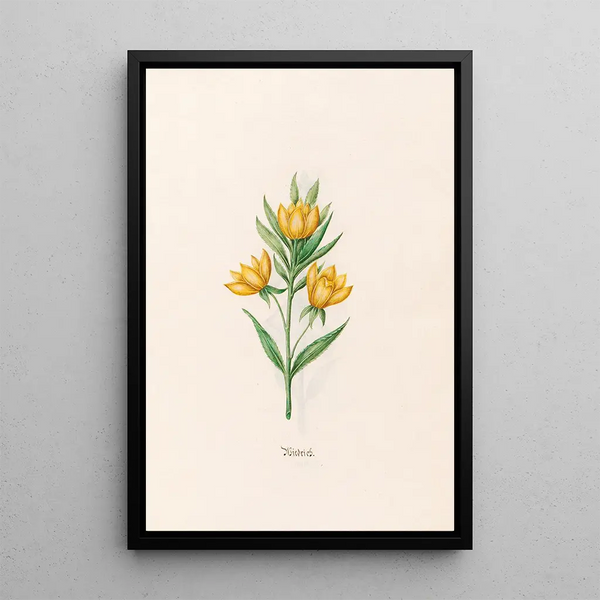 Wiedrich - Magdalena Rosina Funck — framed artwork on a wall