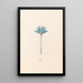 Sempiternelle - Magdalena Rosina Funck — framed artwork on a wall