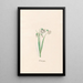 Snowflakes Painting - Magdalena Rosina Funck — framed artwork on a wall
