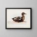 Summer male eider duck - Magnus von Wright — framed artwork on a wall
