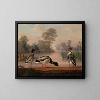 Canards - Magnus von Wright — framed artwork on a wall