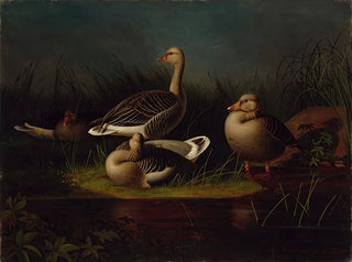 Cendré Geese - Magnus von Wright — artwork view