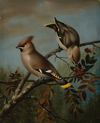 Magnus Von Wright - Tilh In Rowan.webp
