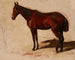 Study of a horse - Maksymilian Gierymski — artwork view