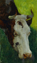 Study of a cow - Marc-Aurèle de Foy Suzor-Coté — artwork view