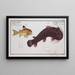 Cataphractus Callychthis Le Tamoate 2 Cataphractus punctatus Le Cataphracte ponctué - Marcus Elieser Bloch — framed artwork on a wall