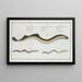 Petromyzon fluviatilis The little lamprey 2 Petromyzon branchialis The pride - Marcus Elieser Bloch — framed artwork on a wall