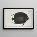 Chaetodon Paru, the multicolored angelfish - Marcus Elieser Bloch — framed artwork on a wall