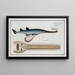 Embryo of a sawfish Pristis, the sawfish - Marcus Elieser Bloch — framed artwork on a wall