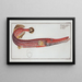 Fistularia chinensis La Trompette - Marcus Elieser Bloch — framed artwork on a wall