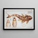 Loricaria maculata The Spotted Cuirassier - Marcus Elieser Bloch — framed artwork on a wall